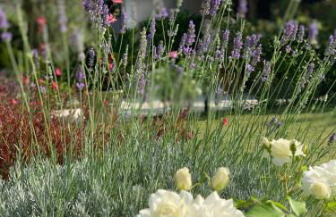 Residence Melody - Adult only - Foto 23