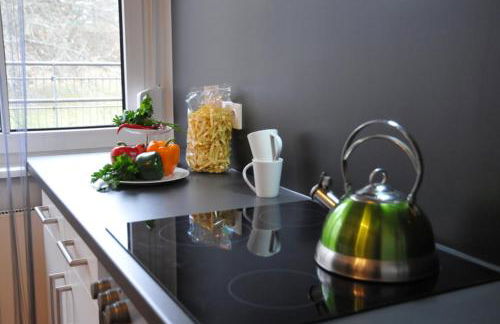 Rooftop Regensburg Apartment - Foto 23