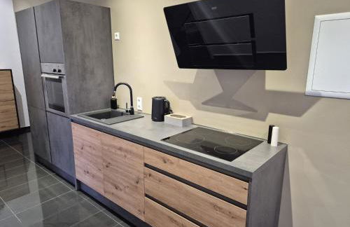 Schwarzwald City Loft 2 - Foto 5