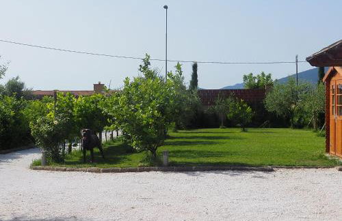 La casa di Samarcanda - Foto 14