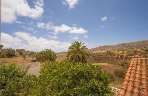 Finca Artiles - Foto 12