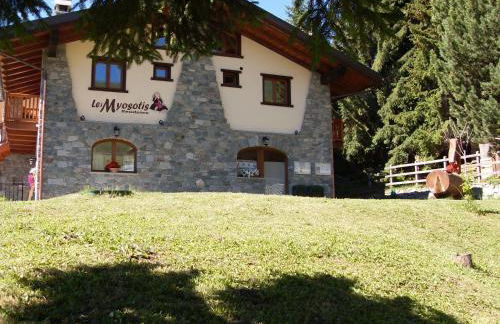 Residence Les Myosotis - Foto 67