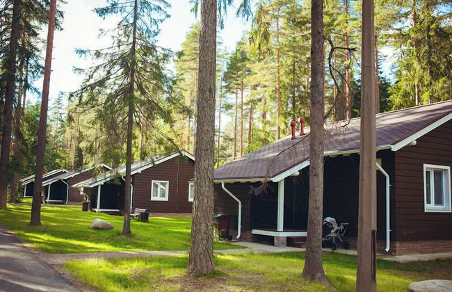 Tsarstvo Korolevstvo - Foto 40