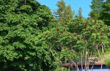 Blū House - Foto 44