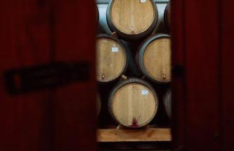 Gîte Clusel-Roch 6 personnes au cœur des Côte-Rôtie - Foto 11