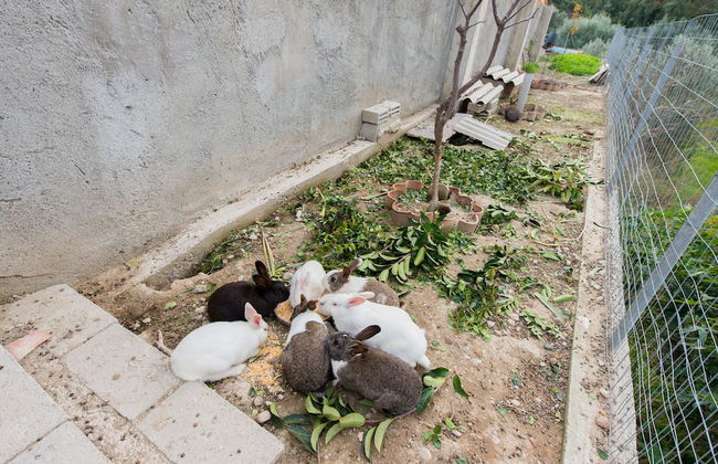 Natura House - Foto 24