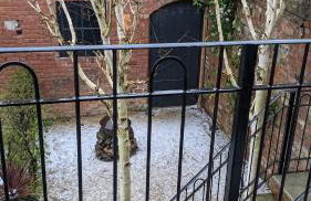 Malvern hills, beautiful garden flat Twohundredandseven - Foto 13