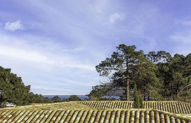Les terrasses di Fiori - Foto 17