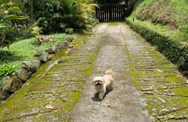 Refúgio Tranquilo na Natureza com Casa de Festas: Perfeito para Família e Amigos - Foto 33