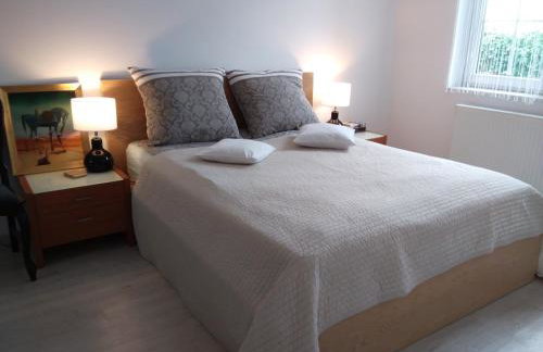 Apartament City Center JAPAN - no smoking, free bottled water, coffea and tea - Photo 2