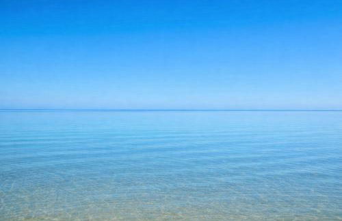 Salty Soul - Foto 23