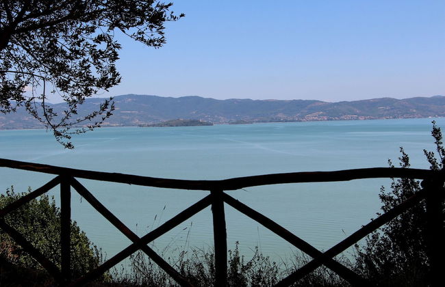 Pomegranate apt With Shared Pool - Foto 23