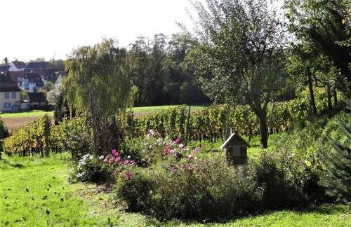 Zum Rebberg Ferienwohnungen - Foto 7