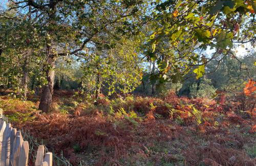 Cap Ferret - Villa Sérénité - piscine, proche Océan et Bassin, classée 4 étoiles Meublé de tourisme - Foto 33