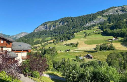 L'Ecrin des Myrtilles - Appartement cosy - Piscine et vue montagne - Alpes - Val d'Arly - Aravis et Beaufortain - Foto 44
