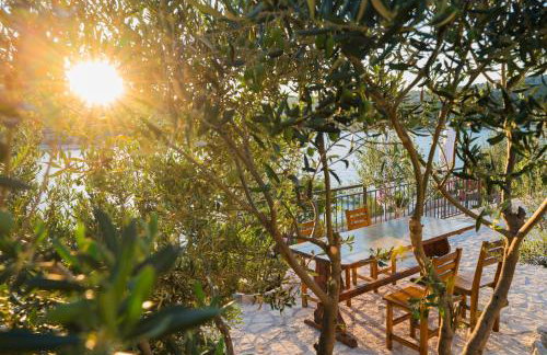 Apartmani Babić - Foto 38