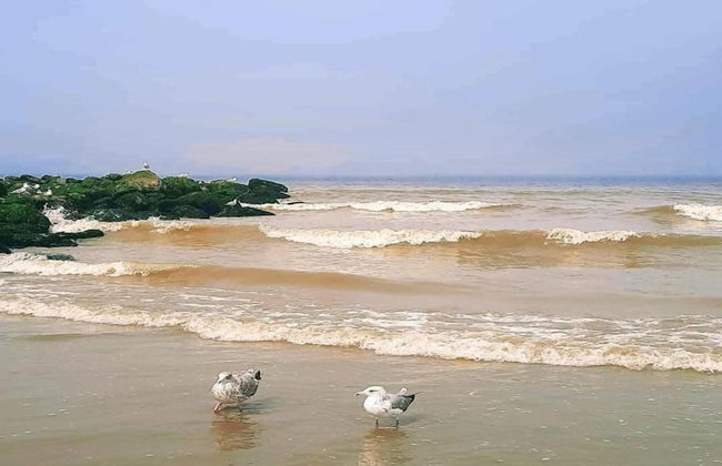 Ocean View Coastal Escape - Foto 18