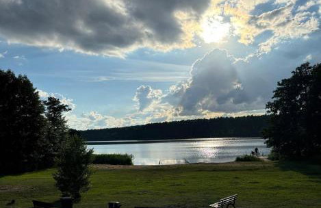 Las Biala's - Domki z sauną i jacuzzi w Puszczy Noteckiej - Tylko dla dorosłych - Foto 46