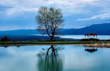 Stella's house - Foto 17