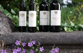 Domus Cariana - Foto 17