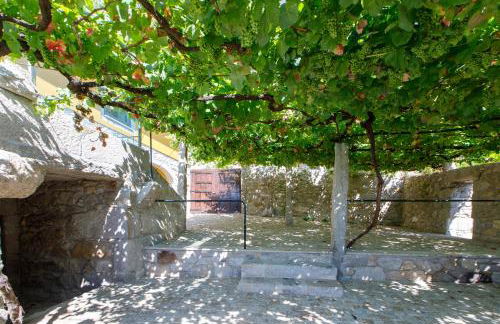 Quinta dos Fangueiros - Foto 67