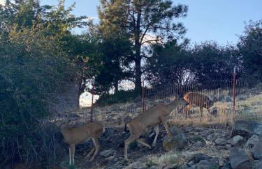 Lakeview Haven House - Foto 27