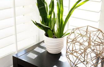 Vineyard estate with pool and amazing views - Photo 23