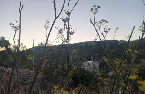 Avgonima Family's Rooms I - Photo 16