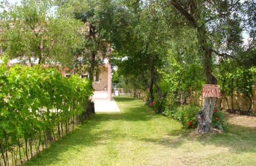 Olga's Garden Apartments - Foto 74