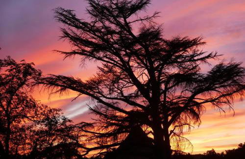 Château de Tauziès, The Originals Relais - Foto 93