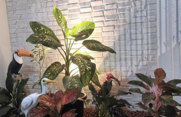 Quarto Marajó 1, próximo ao Aeroporto- cama Casal - Foto 18