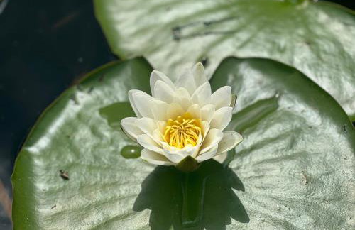 Apartament Jerzyn - Foto 35