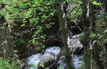 Bas de chalet station La Foux - Foto 46