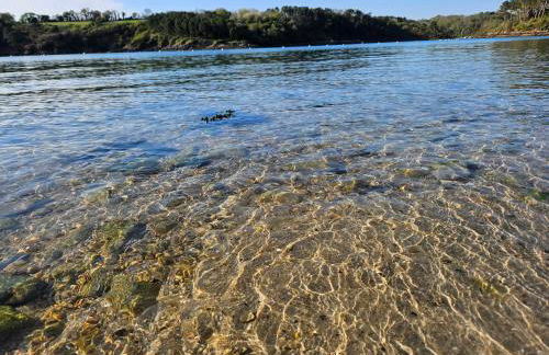 Gîte Les mouettes qui caquètent - Foto 15