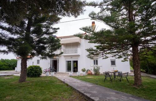 Stefano's Home - Foto 1