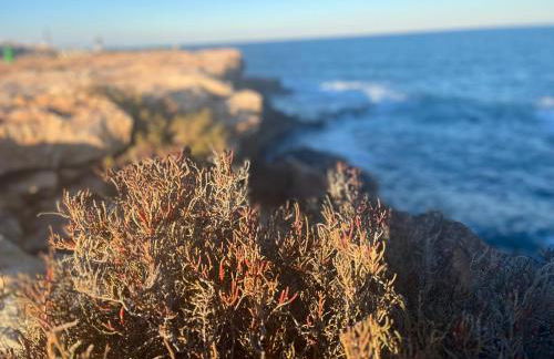 La Mata Apartment, Spain - Foto 63