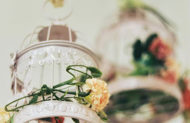 La Martinera Plaza Principal - Foto 13