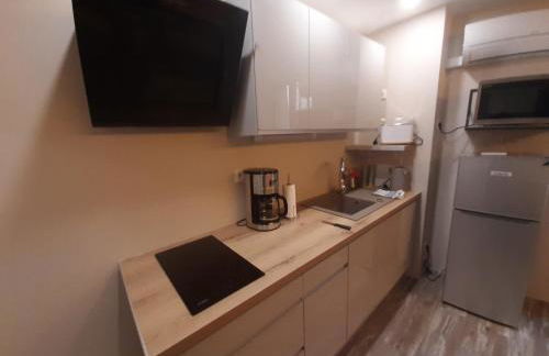 3 Apt T2 COSY de 40 à 50 M2 Idéal pour un déplacement PRO " Les IRIS " - Foto 24