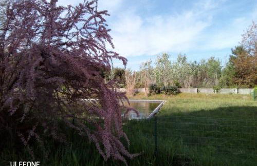 Casa nel parco sulla spiaggia - Foto 37