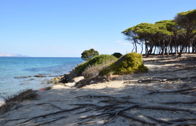 Appartamento Fabiana Budoni Sardegna - Photo 15