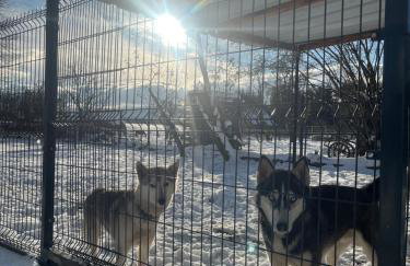 Polana Gorska Mirsk - Photo 35