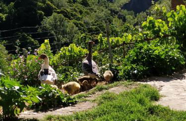 Cortijo La Solana - Foto 28