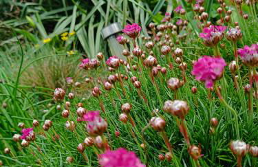 Le gîte Le Marillet - Photo 24