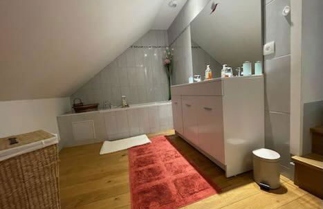 O et Terre, gite ressourcement bains spa cryo sauna et foret - Foto 27