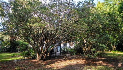 Hip Island House - Foto 2