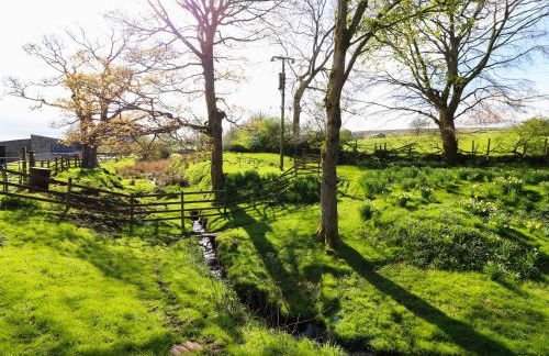 Mill Dam Farm Cottage - Foto 31