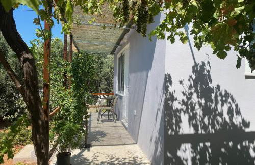 Vine Veranda - Photo 11