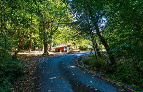 Cozy cottage among trees - close to PDX - Foto 17