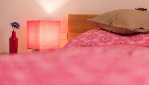 Weinbau Frank Schönig - Foto 5