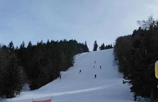 Clède lovée dans la forêt, sauna & bain nordique - Foto 31